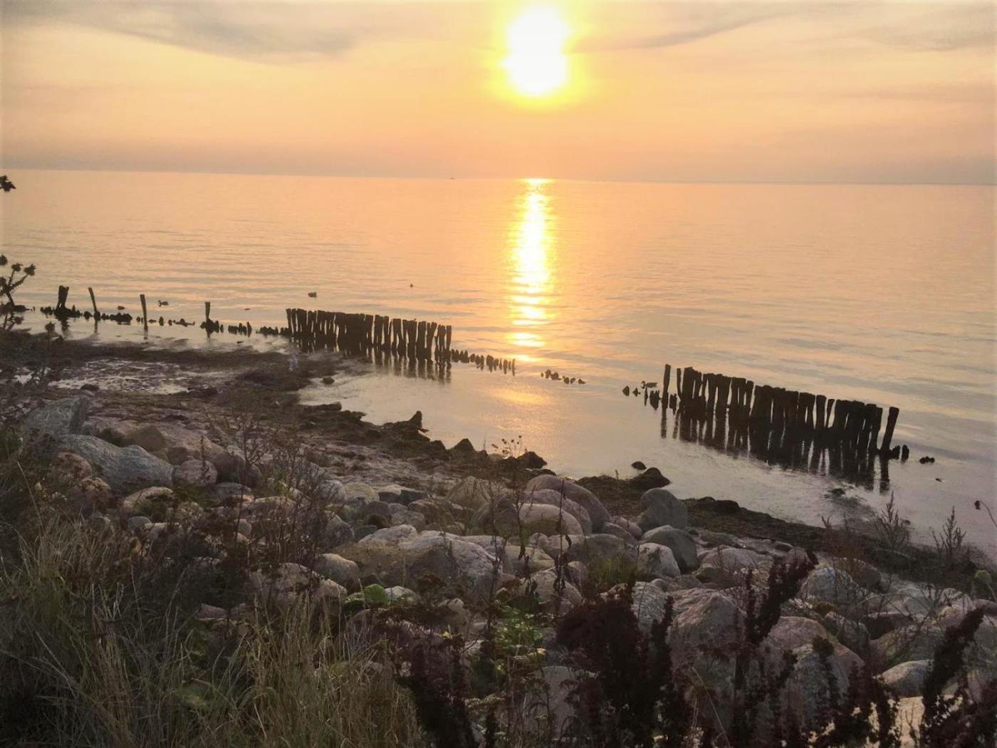 Dahmer Strand 18 Muschelhus Eksteriør bilde